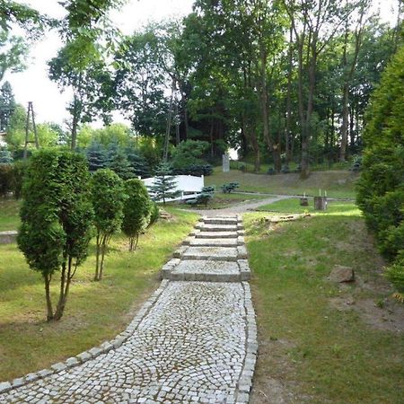 Viilla Rezidence Bed and Breakfast Kudowa-Zdrój Exteriör bild